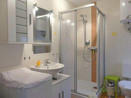 Tageslichtbad mit Dusche