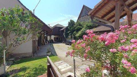 Efringen-Kirchen Häuser, Efringen-Kirchen Haus kaufen