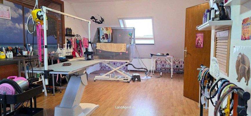 Dachgeschoss (keine Wfl.)