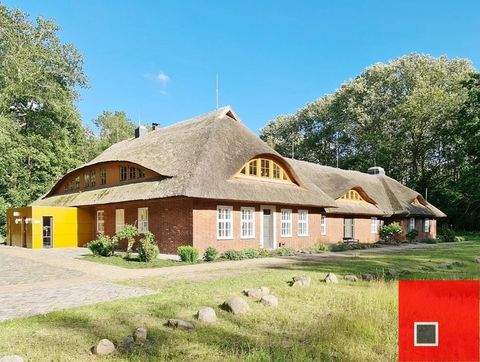 Preetz Häuser, Preetz Haus kaufen