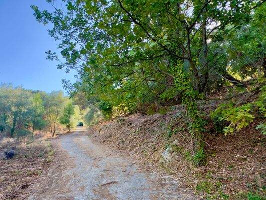 DA1046_09 TERRA ITALIA IMMOBILIEN_REAL ESTATE_FOR 