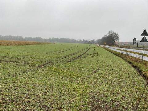 Dorsten-Deuten Bauernhöfe, Landwirtschaft, Dorsten-Deuten Forstwirtschaft