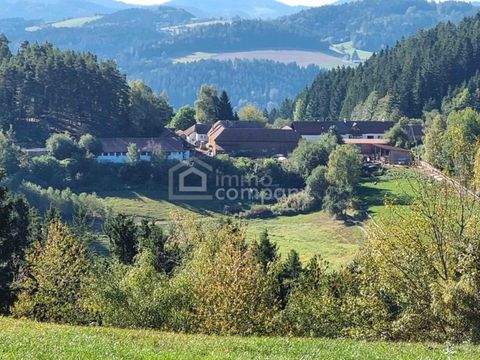 Sankt Leonhard bei Freistadt Bauernhöfe, Landwirtschaft, Sankt Leonhard bei Freistadt Forstwirtschaft