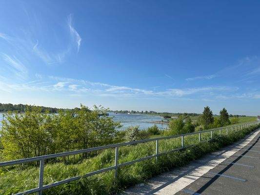 Ausblick auf den Rhein 