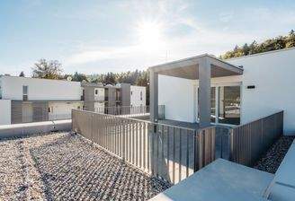 20231006-Kollitsch-Immergruen-Rene-Knabl-039