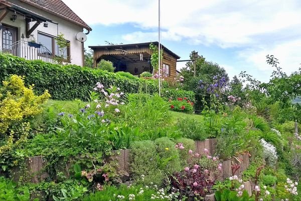 Blick in den Garten