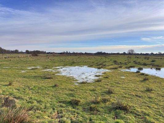 Blick auf das Grünland