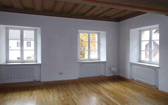 Wohnzimmer mit historischer Decke im Erdgeschoss