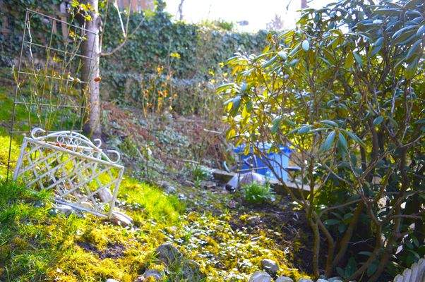 hübscher eigener Garten