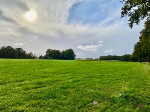 Menslage / Renslage Bauernhöfe, Landwirtschaft, Menslage / Renslage Forstwirtschaft