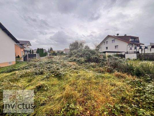 Bild vom Grundstück, inkl. Bewuchs