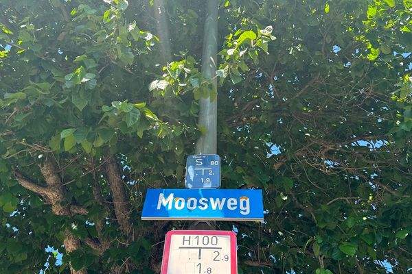 Karlsfeld, Moosweg 20