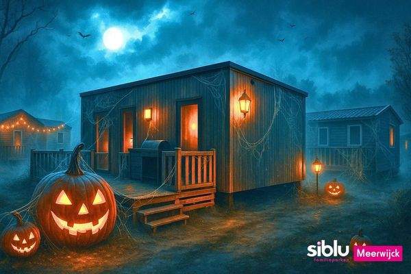 Ferienhaus Kaufen Friesland14