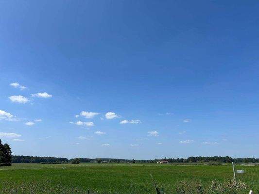Feldblick vom Balkon im September
