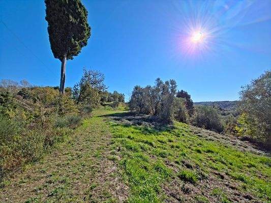 20251104_105631 - 1K JPEG.jpg