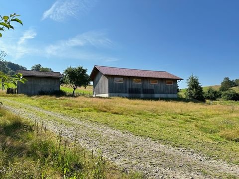 Grattersdorf Halle, Grattersdorf Hallenfläche