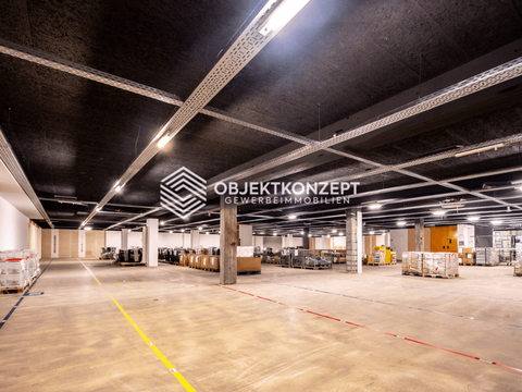 Schonach im Schwarzwald Halle, Schonach im Schwarzwald Hallenfläche