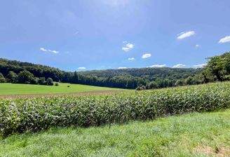 Idyllischer Ausblick