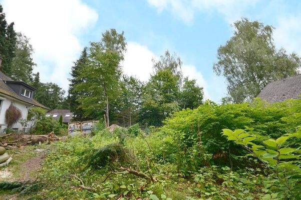 Vorn bauen Sie, hinten genießen Sie Ihren privaten kleinen Wald