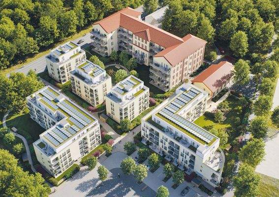 Vogelperspektive hell.jpg