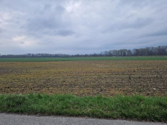 Ausblick1