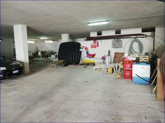 WhatsApp Image 2019-08-25 at 1.png