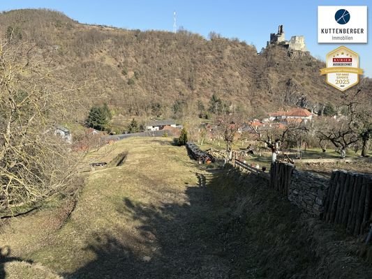 Weitläufiger Naturgarten