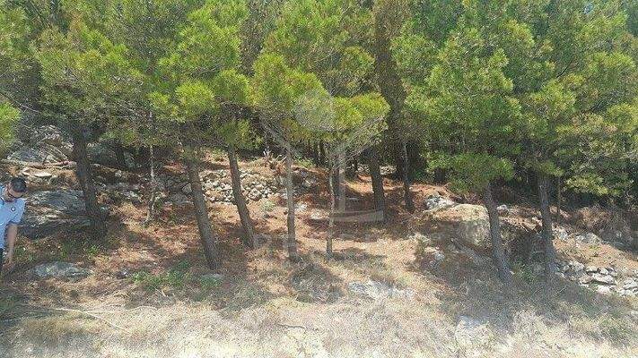 Bauen Sie Ihr Traumhaus in Traumlage