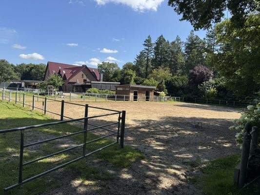 Reitplatz / Weide