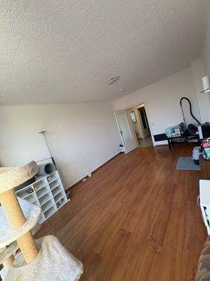 WhatsApp Image 2026-03-02 at 16.51.38.jpeg