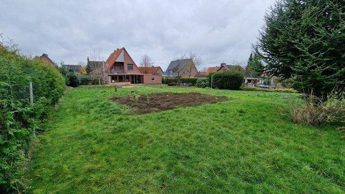 Baugrundstück - Ansicht im hinteren Grundstücksteil