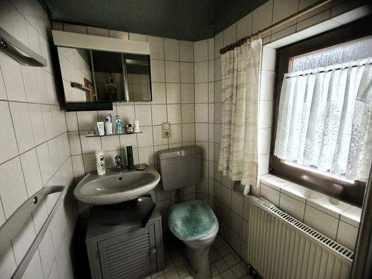 WC u. Waschbecken im Duschbad