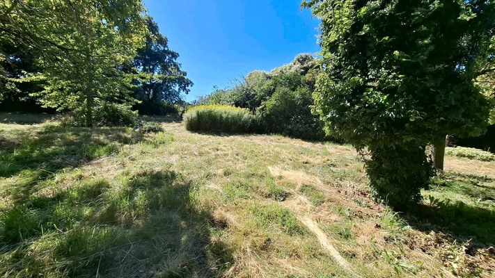 29d7e46a-abf3-4db1-98be-2a76e9271c06 (1)