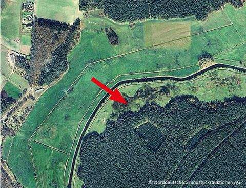 Grabow Bauernhöfe, Landwirtschaft, Grabow Forstwirtschaft