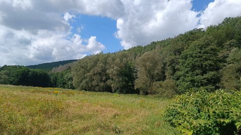 Schmalkalden Bauernhöfe, Landwirtschaft, Schmalkalden Forstwirtschaft