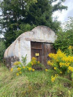 PHOTO-2025-09-02-12-50-28 (2).jpg