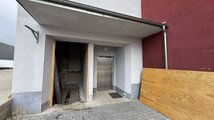 Groß (IMG_9984).jpeg