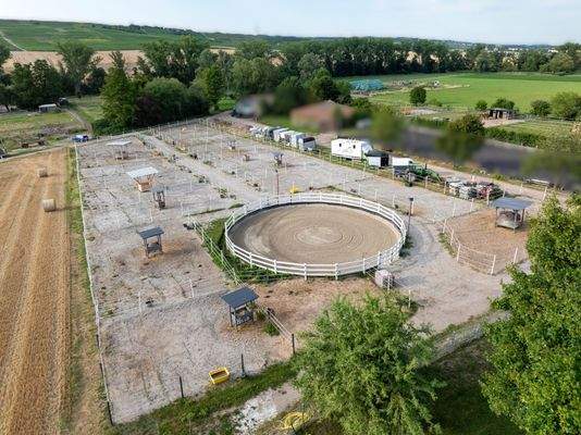 Winterpaddocks und Roundpen