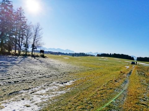 Steingaden Bauernhöfe, Landwirtschaft, Steingaden Forstwirtschaft