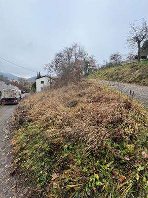 Grundstück | Ost-Ansicht