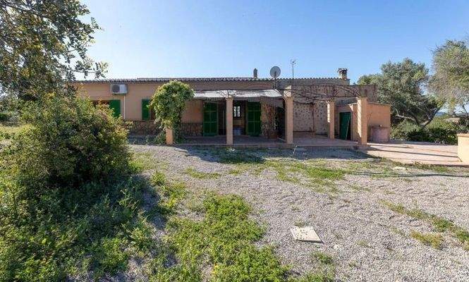 Finca zum Ausbau zwischen Santa Maria und Alaró zu verkaufen, Mallorca