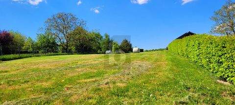 Bergweiler Grundstücke, Bergweiler Grundstück kaufen