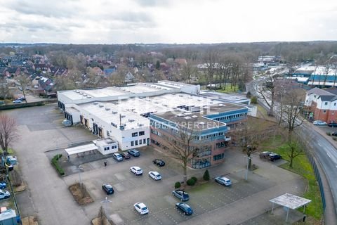 Rheine Halle, Rheine Hallenfläche