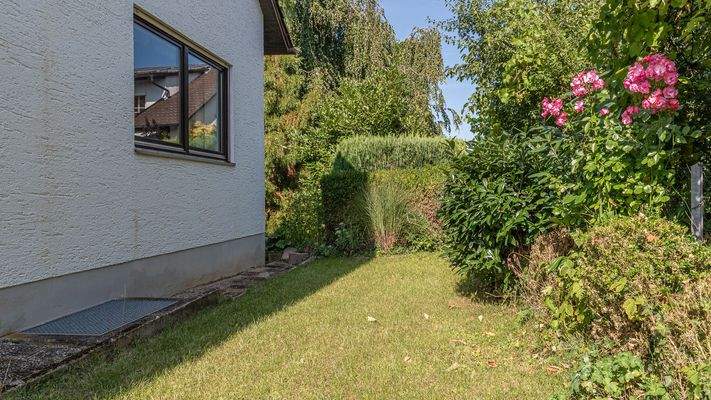 Garten Ostseite Blickrichtung Nord