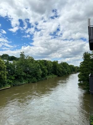 Blick auf den Regnitzarm