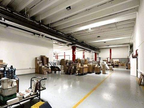 Hohenbrunn Halle, Hohenbrunn Hallenfläche