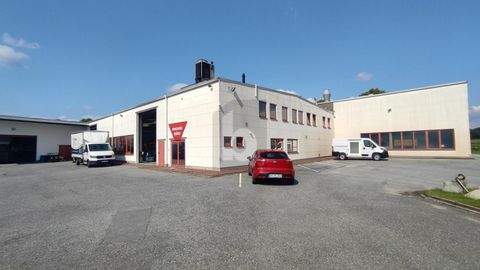 Versmold Halle, Versmold Hallenfläche