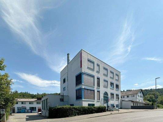 Vorderfront mit blick auf die Einfahrt