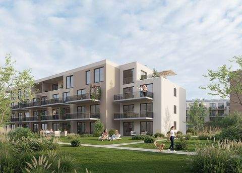 Bad Saulgau Wohnungen, Bad Saulgau Wohnung kaufen