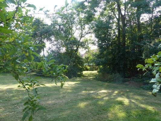 Gartenansicht B.1